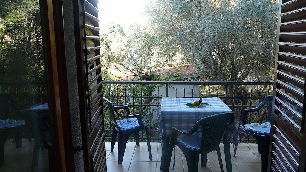 Guest House Zivkovic Sveti Stefan Værelse billede