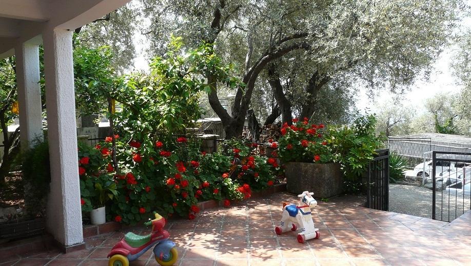 Guest House Zivkovic Sveti Stefan Eksteriør billede
